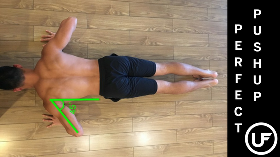 Guide to the Perfect Pushup Union Fitness